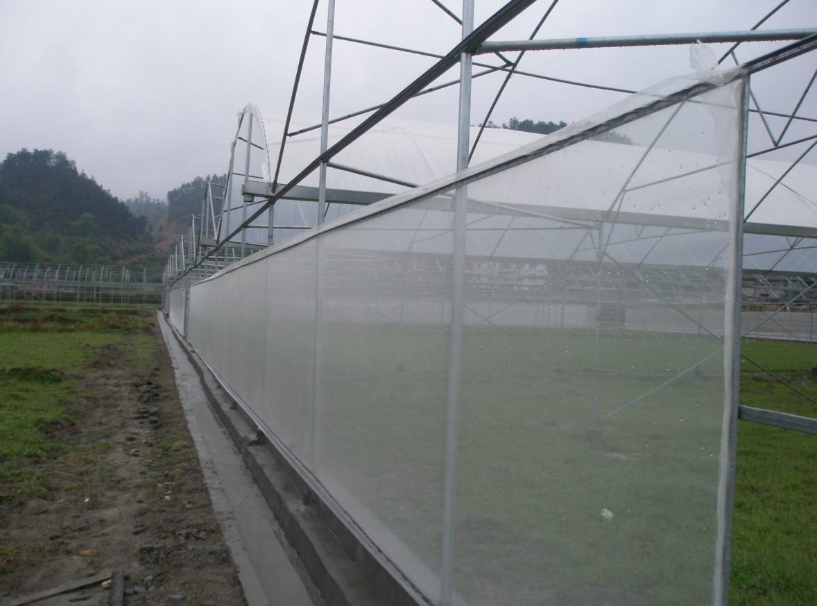anti insect net house