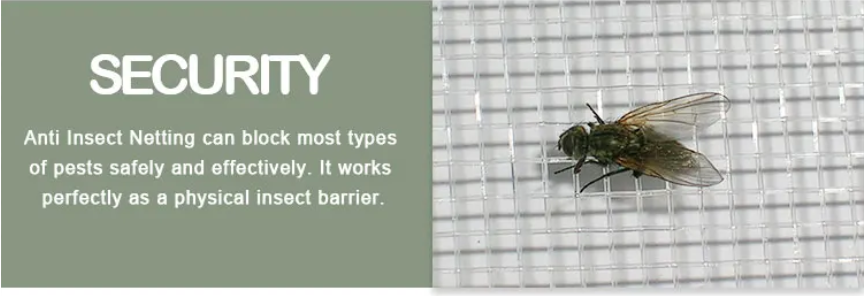 insect proof net house