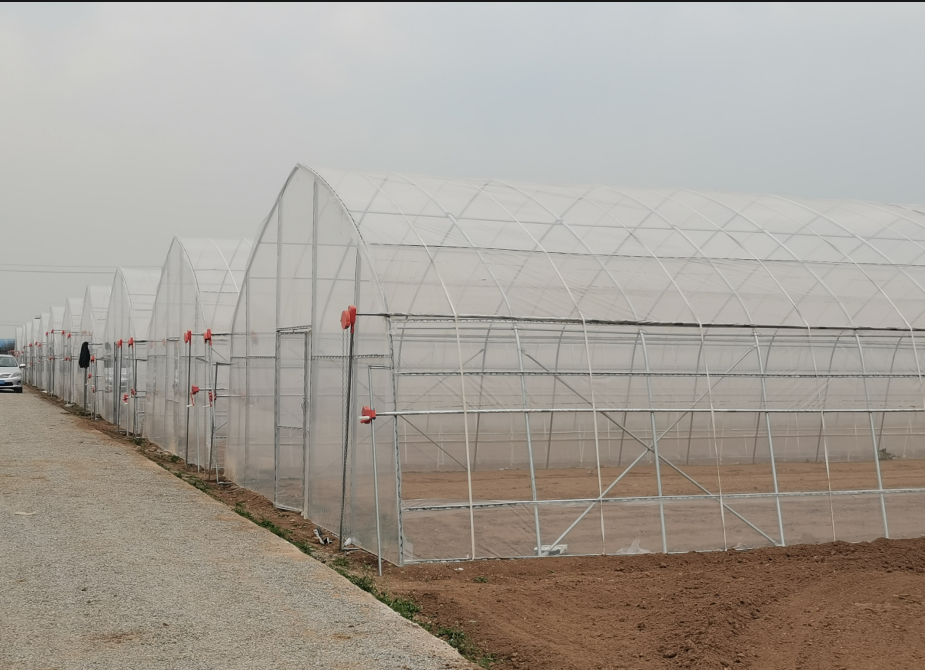 Greenhouse Tunnel