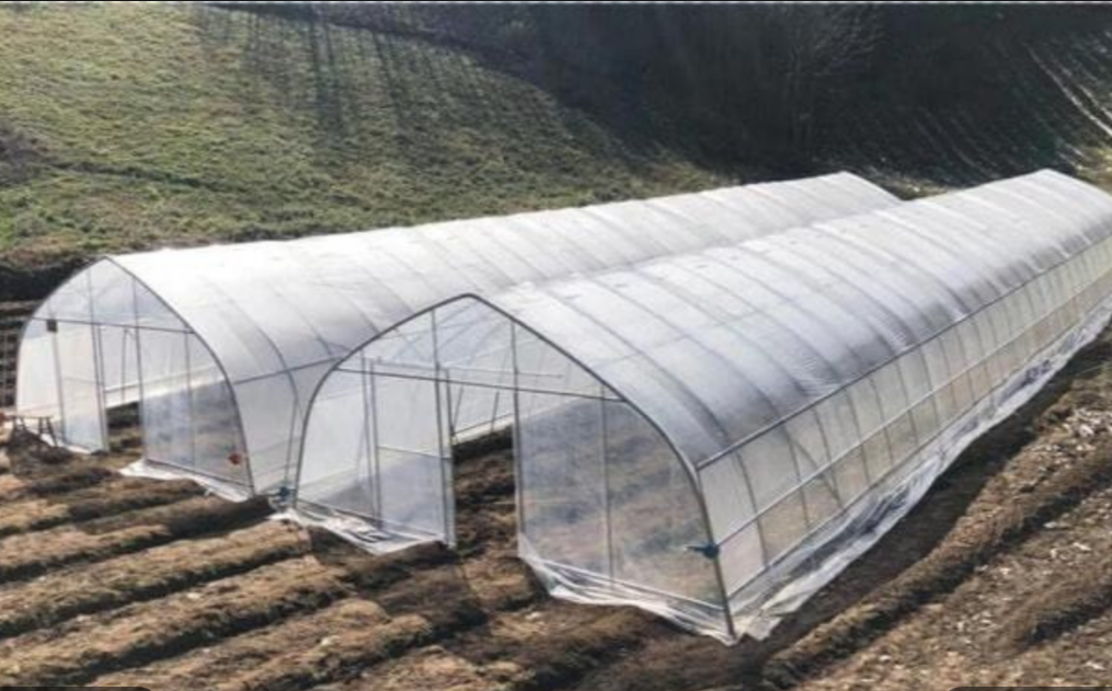 small greenhouse