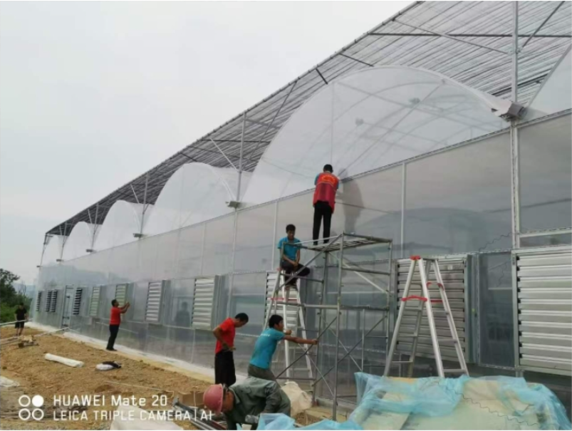 greenhouse frame