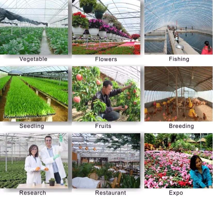 agricultural film greenhouse