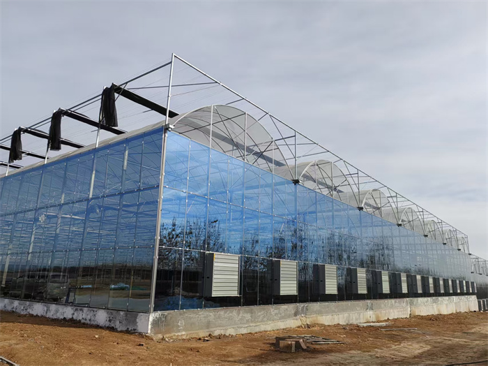 Greenhouse Turnkey Solution