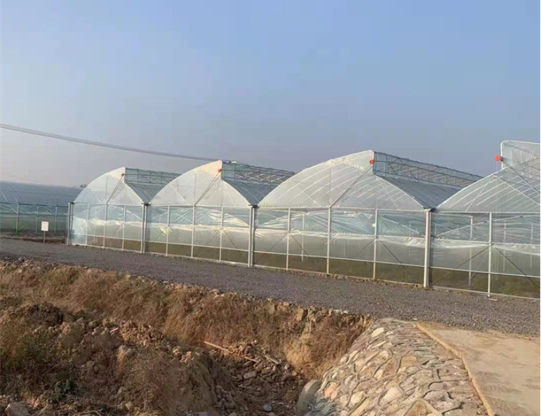 sawtooth greenhouse