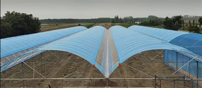 Multi span greenhouse