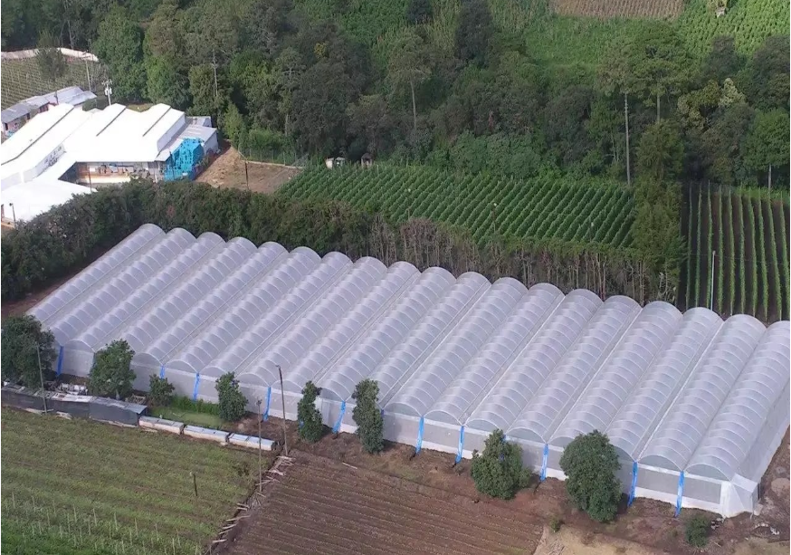 polyethylene greenhouse