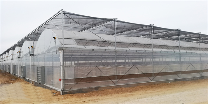 vertical hydroponic greenhouse
