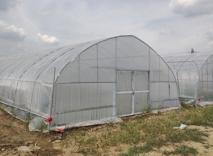Tunnel Film Greenhouse