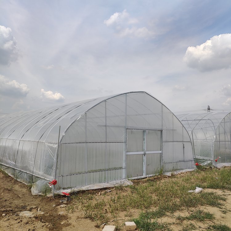 Simple High Tunnel Film Greenhouse