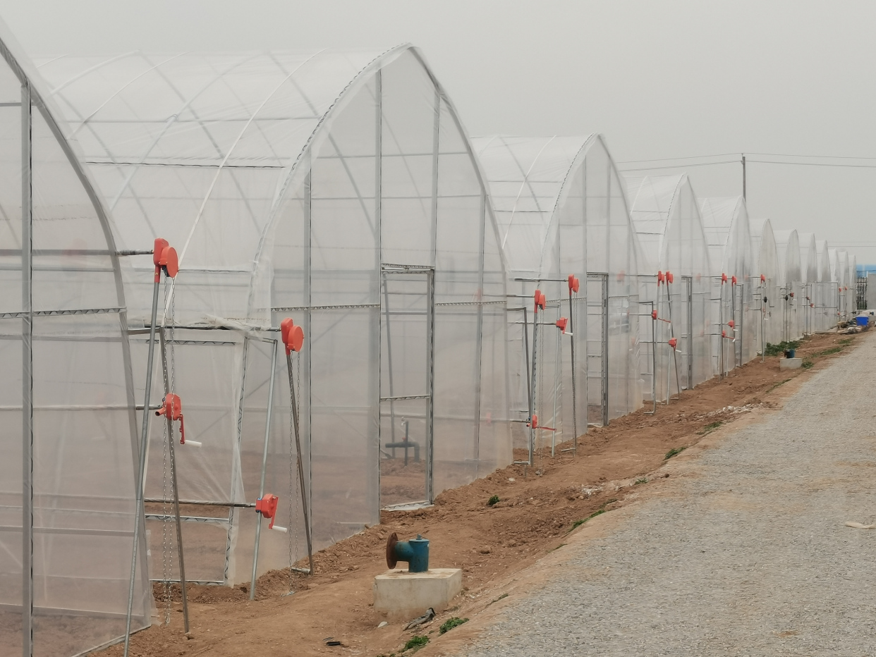 Single span greenhouse