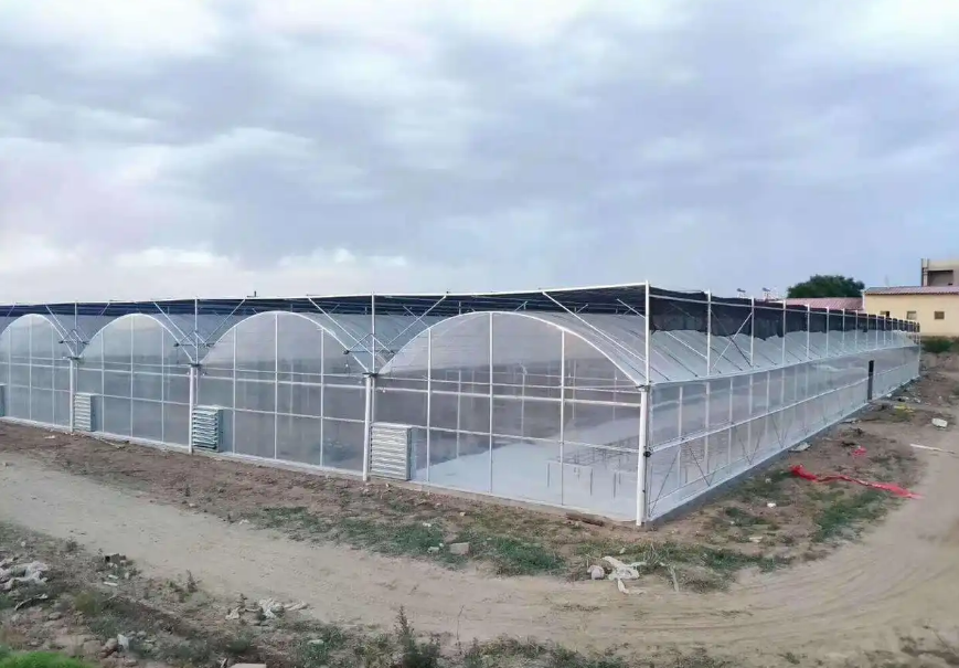 greenhouse turnkey project