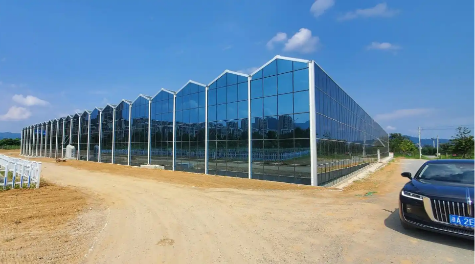 large greenhouse