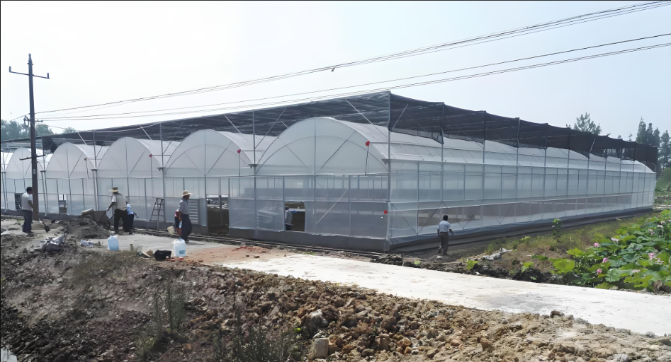 large greenhouse