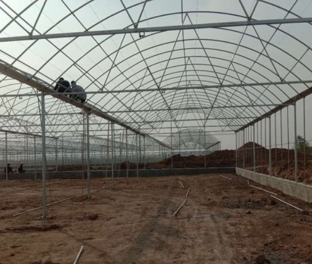 greenhouse turnkey project
