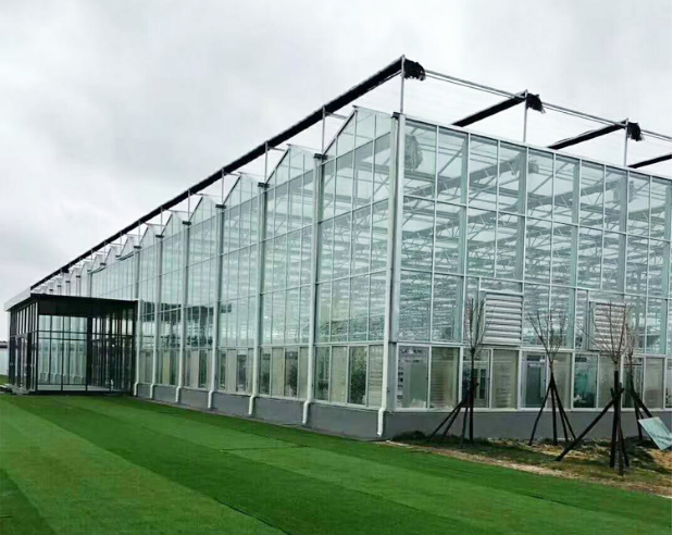 automated greenhouse