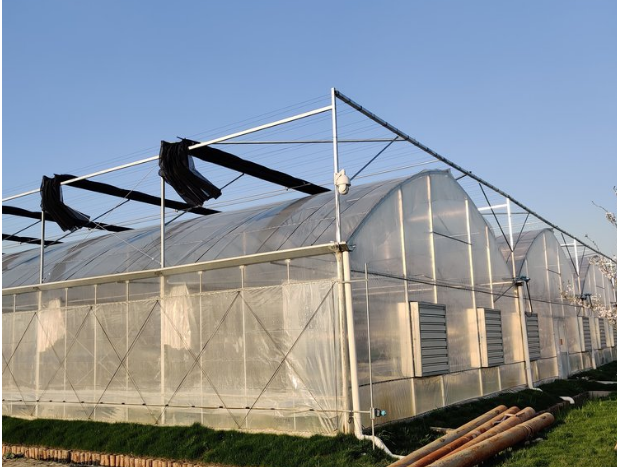 Temperature control greenhouse