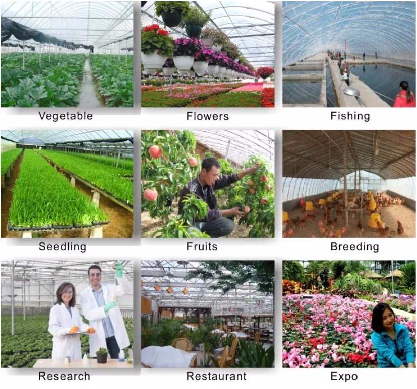 Temperature control greenhouse