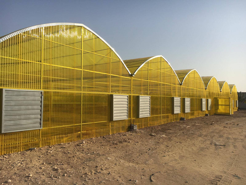 Polycarbonate board greenhouse