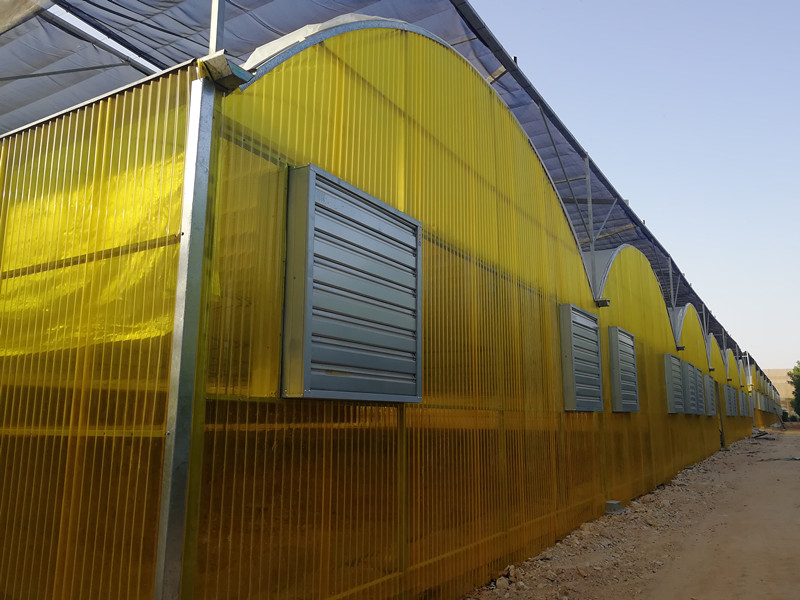 polycarbonate greenhouse
