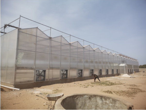 Polycarbonate board greenhouse