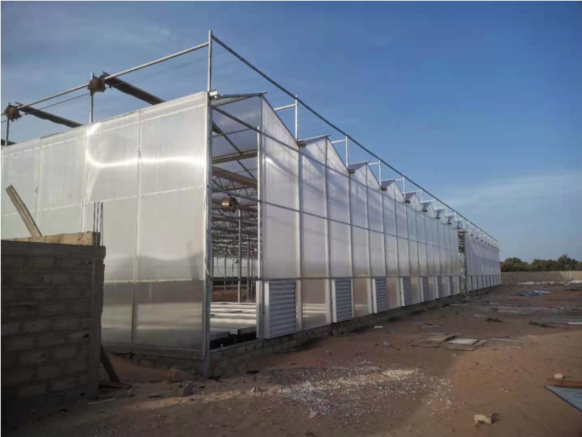 polycarbonate greenhouse