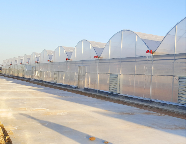 big greenhouse