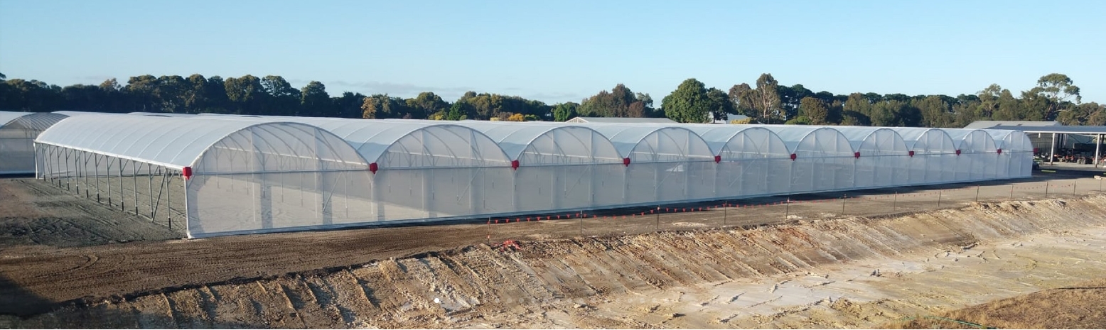 gutter connected greenhouse