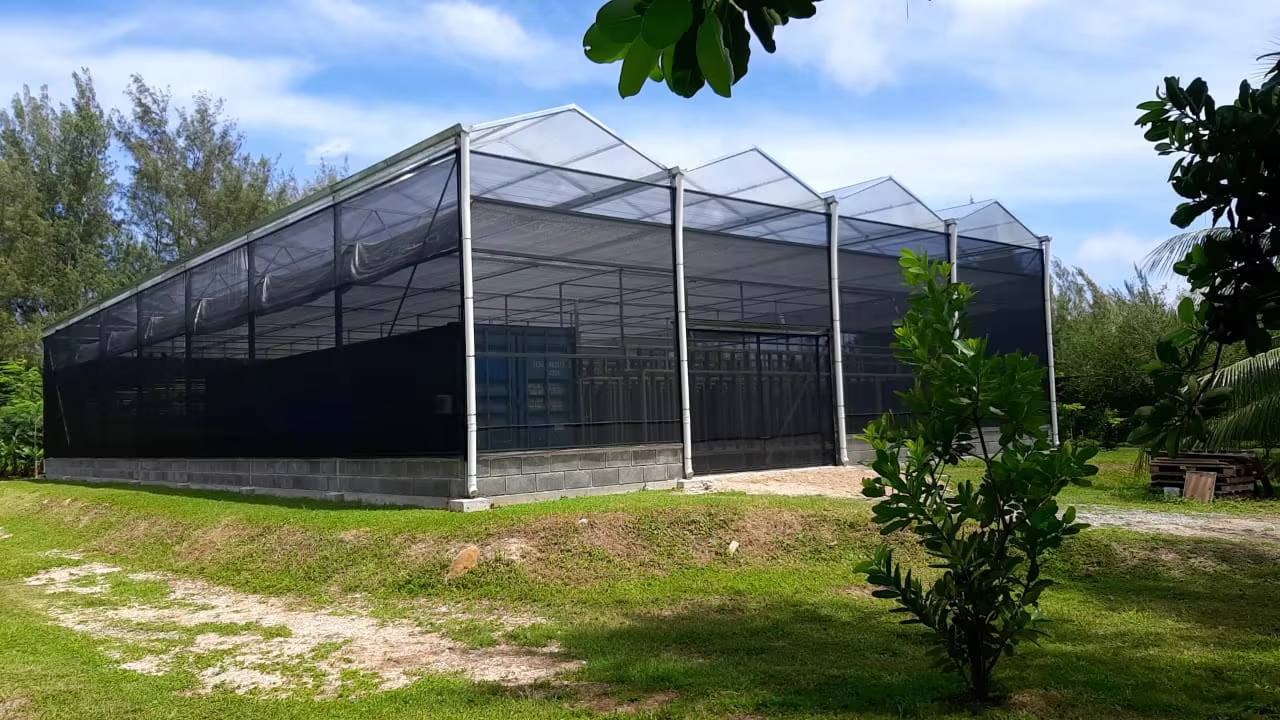 green house for nursery