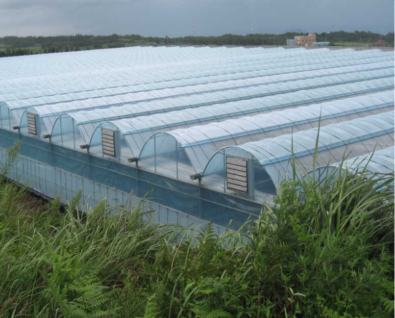 nursery greenhouse