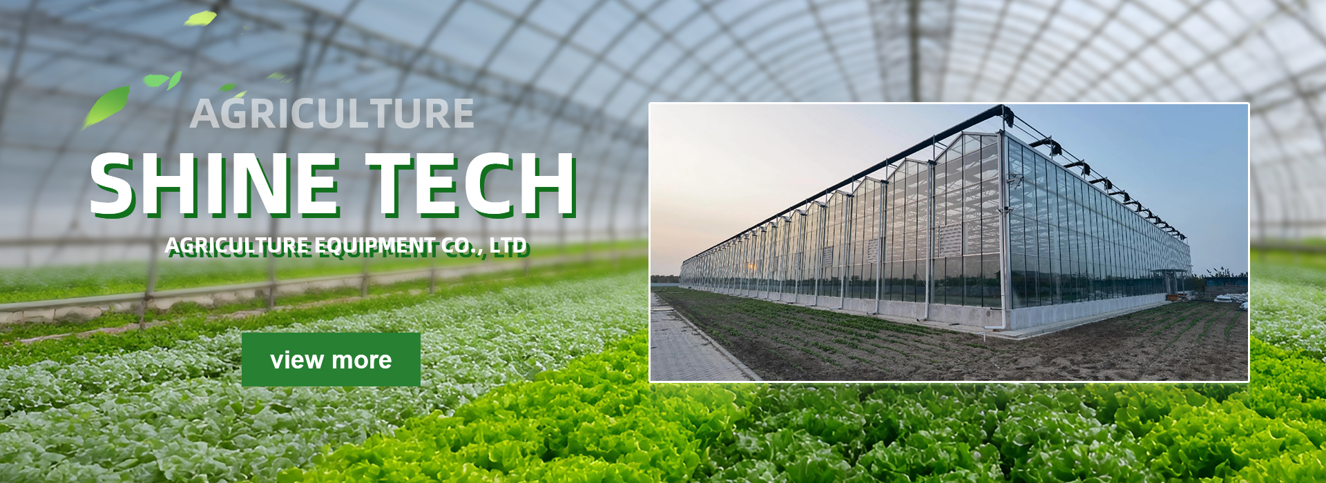 VENLO GREENHOUSE