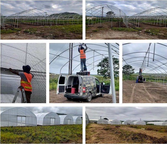 poly tunnel greenhouse