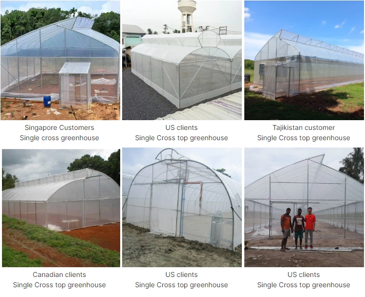 poly film greenhouse