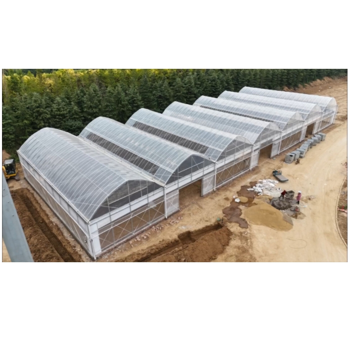 Multi Span Agriculture Hydroponic Greenhouse