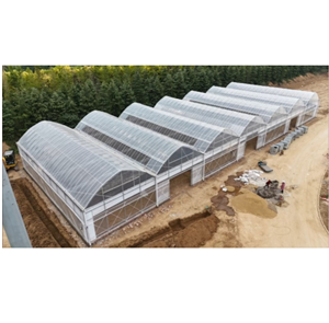 Multi Span Agriculture Hydroponic Greenhouse