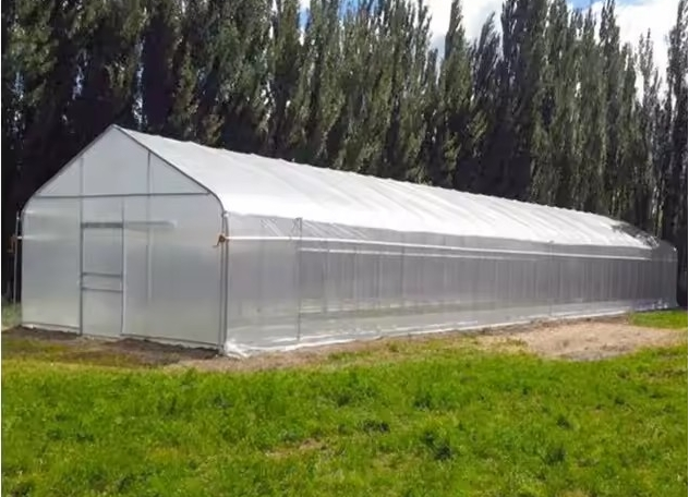Plastic film tunnel greenhouse