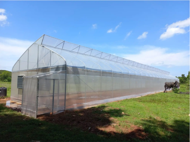 Single span greenhouse
