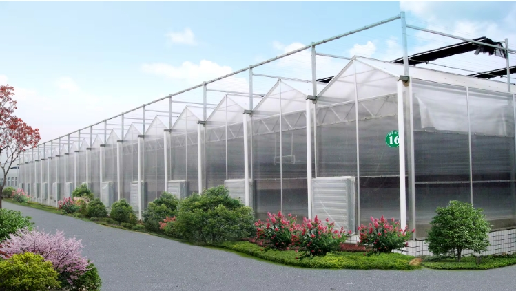 polycarbonate greenhouse