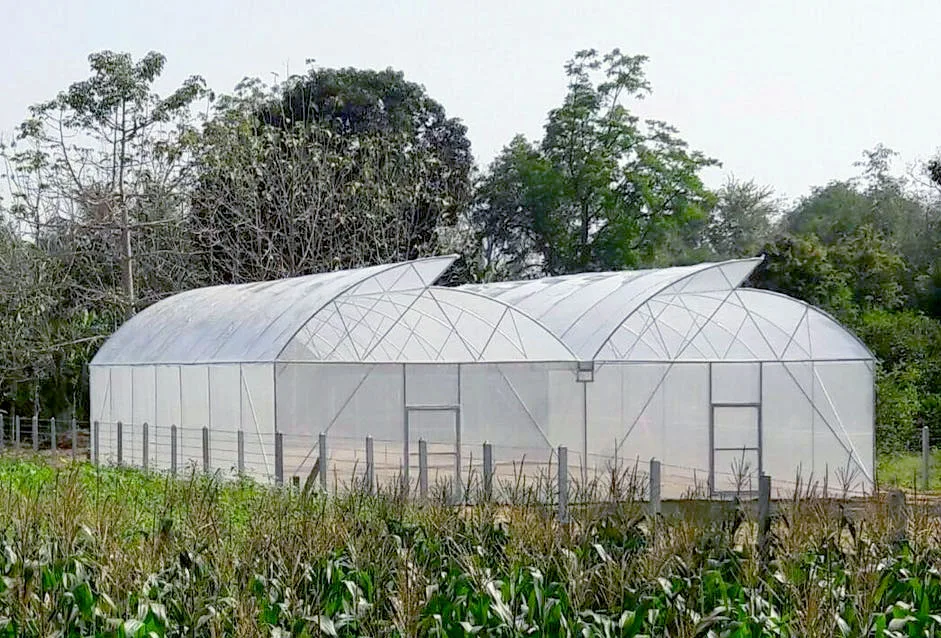 saw tooth greenhouse