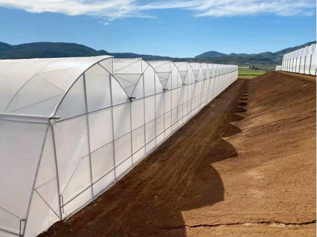 saw tooth greenhouse