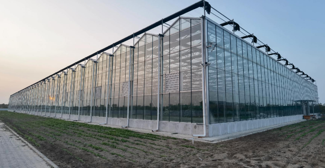 Commercial Glass greenhouse