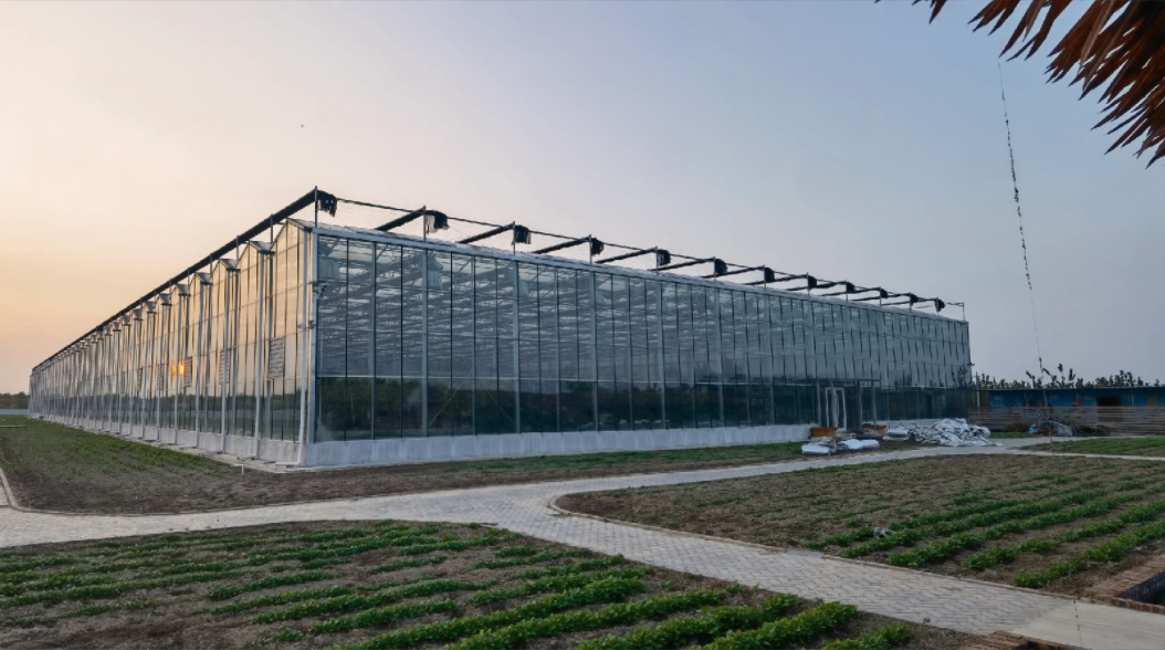 glass green house