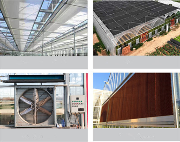 greenhouse company