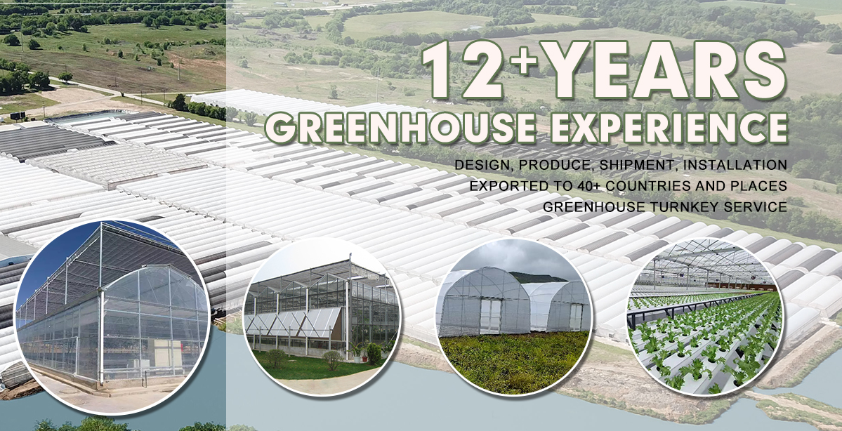 glass greenhouse