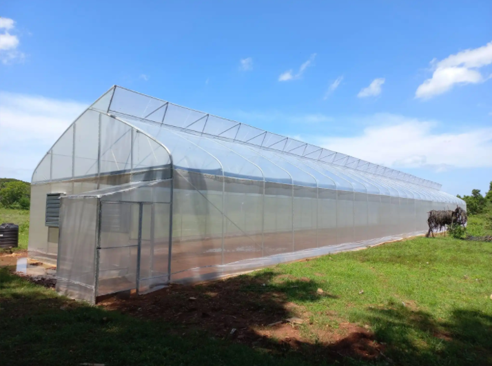 Sawtooth Greenhouse