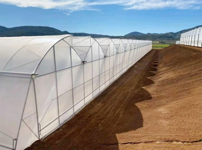 Multi Span Sawtooth Greenhouse