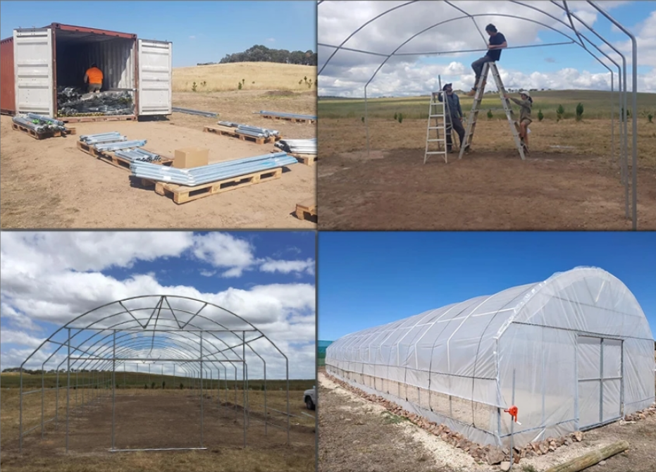 Tunnel Greenhouse