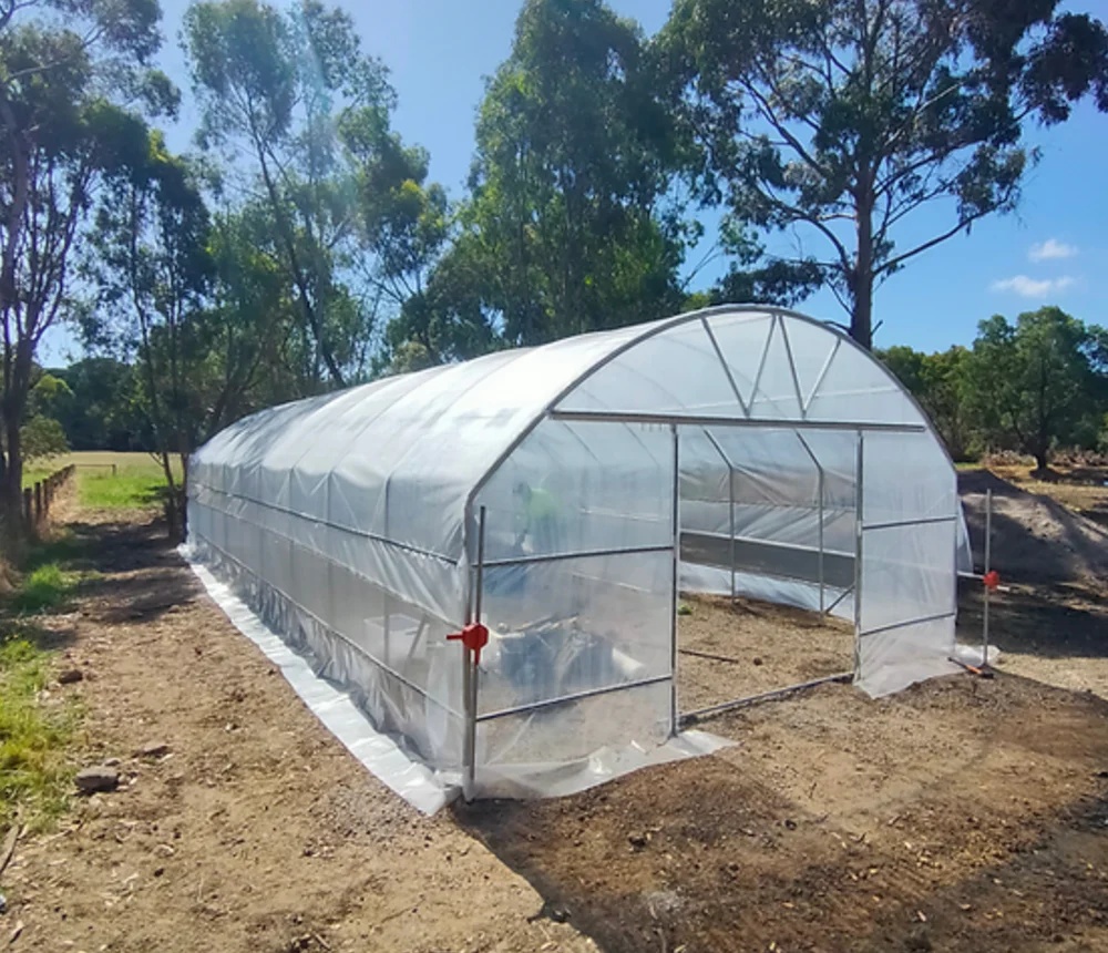 Greenhouse Project in New Zealand