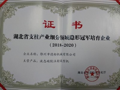 Winning the second batch of hidden champions in the sub sectors of pillar industries in the province