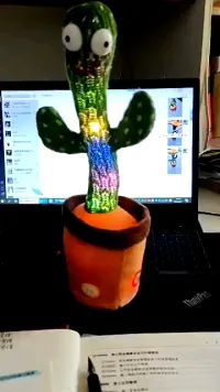 Wholesale Stuffed English Music Lights Simulation Doll Dancing Cactus Plush Toys