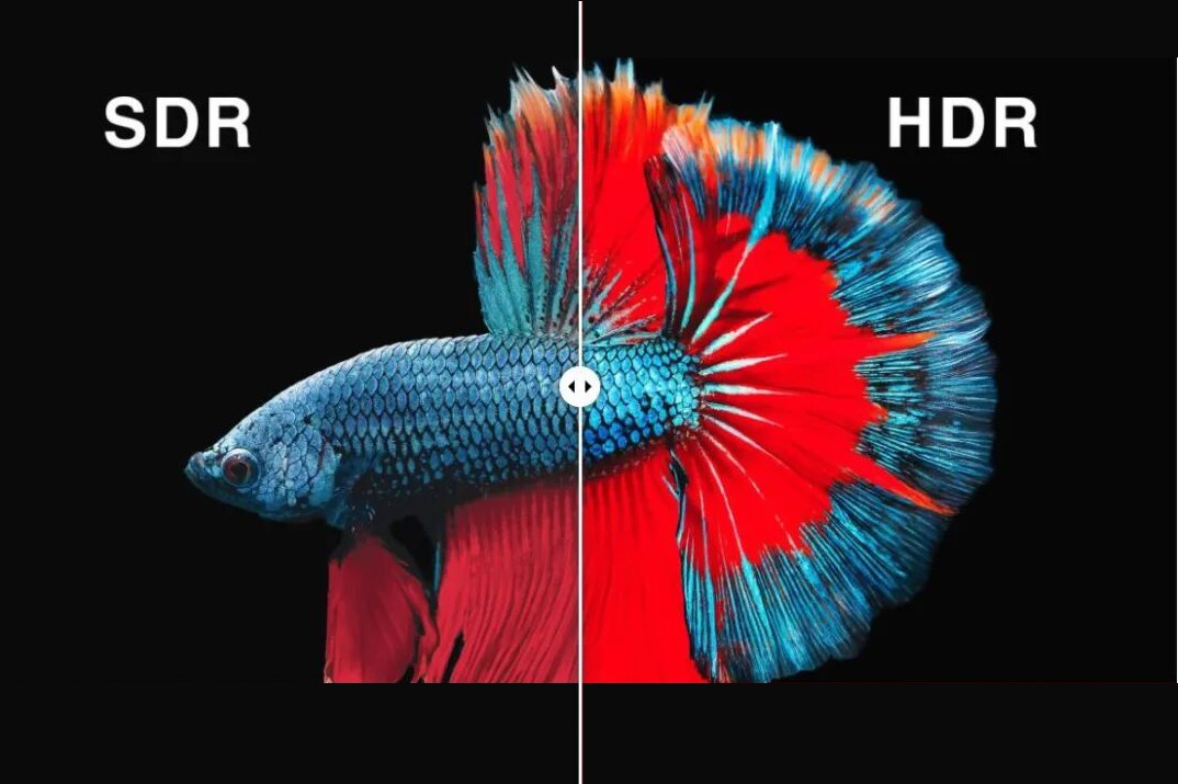 HDR commercial displays